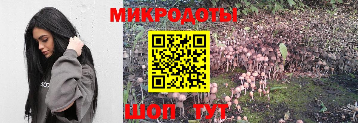 Псилоцибиновые грибы прущие грибы Елабуга