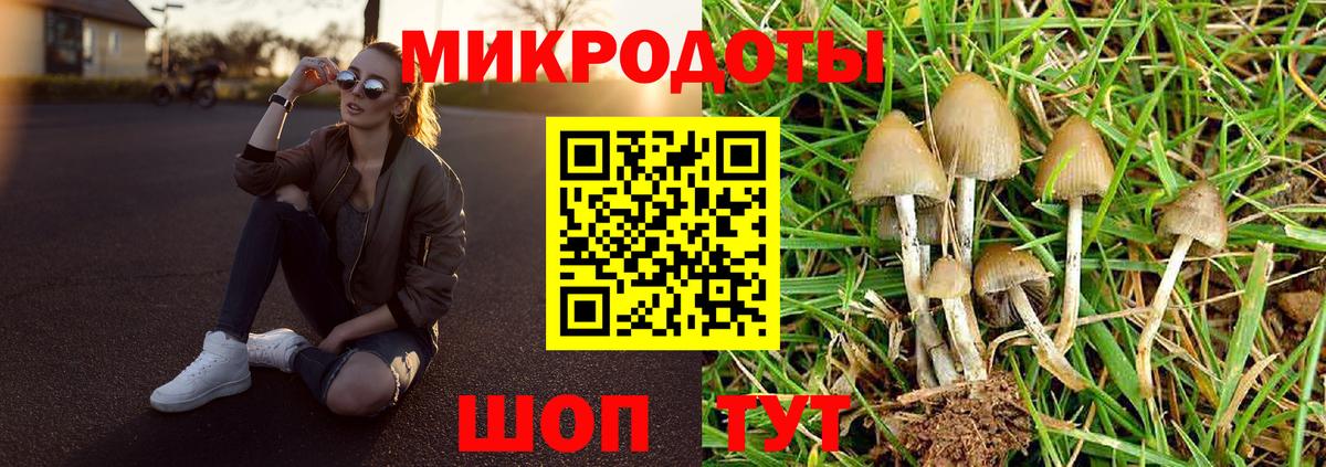 Елабуга  Псилоцибиновые грибы MAGIC MUSHROOMS  Вход с VPN 